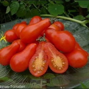 Rotes Birnchen